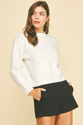 Pearl Embroidered Knit Sweater