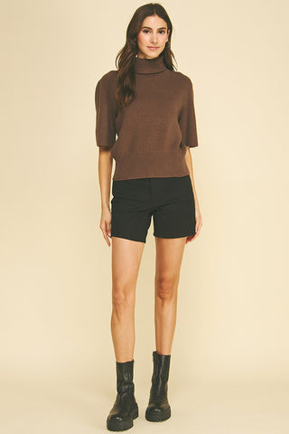 Turtle Neck Short Sleeve Knit Sweater