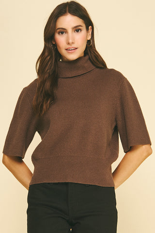 Turtle Neck Short Sleeve Knit Sweater