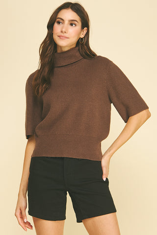 Turtle Neck Short Sleeve Knit Sweater