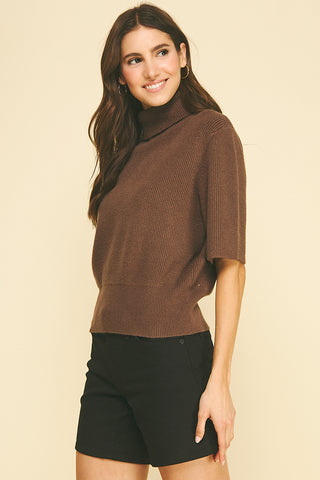 Turtle Neck Short Sleeve Knit Sweater