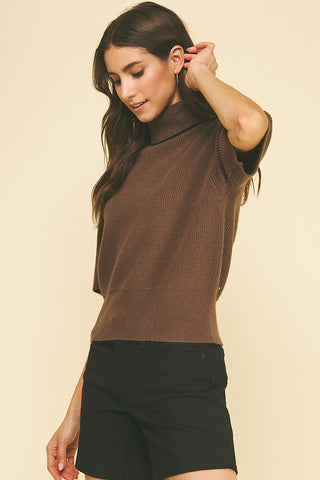 Turtle Neck Short Sleeve Knit Sweater