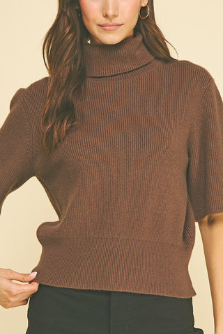 Turtle Neck Short Sleeve Knit Sweater