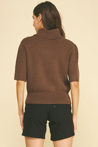 Turtle Neck Short Sleeve Knit Sweater