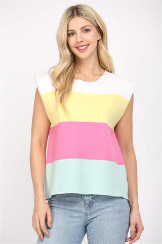 Multi Color Stripe Sweater Tank