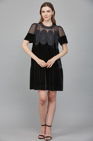 Velvet Mesh Applique Dress