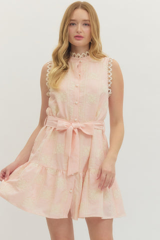 Gingham Embroidered Sleeveless Mini Dress