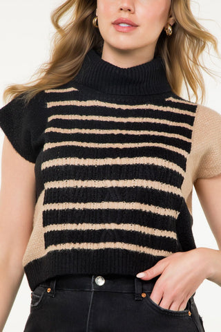 Turtleneck Striped Knit Top